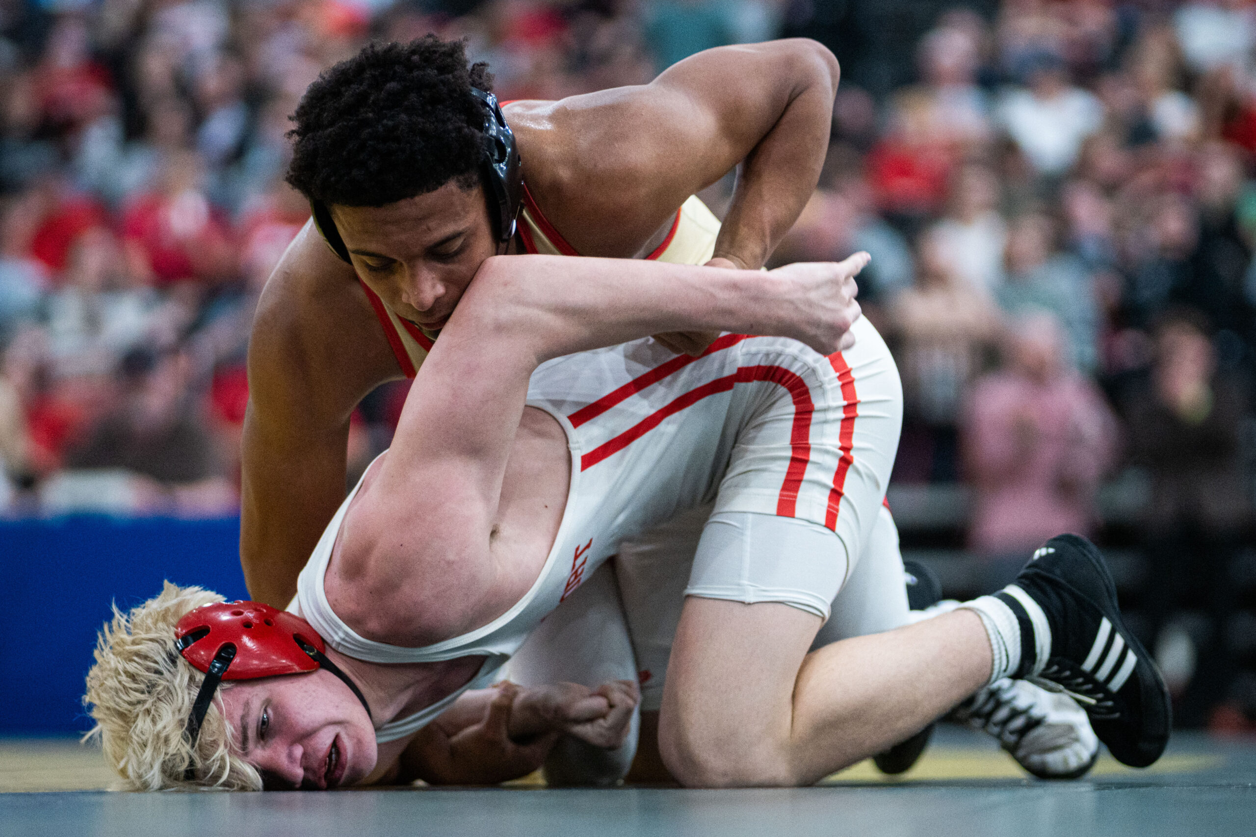GALLERY: WVSSAC 2026 Wrestling State Finals in Huntington WV